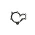 Cometic Jaguar 48-69 XK6 .018in AFM Water Pump Gasket