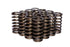 COMP Cams Valve Spring 1.025in Inner