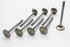 Manley Ford Coyote 5.0L DOHC Exhaust 32mm Race Master Valves w/Bead Loc Groove (Set of 8)