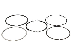 Wiseco 86mm 1.0x2.0mm Ring Set Ring Shelf Stock