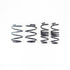 RS-R 2022+ Acura Integra Down Sus Springs