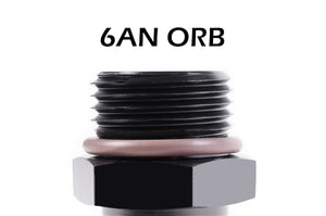 Radium Engineering  6AN ORB To .500in SAE Male