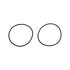 Wehrli LBZ/LMM/LML Duramax Y-Bridge Flange O-Ring Seal (Pair)