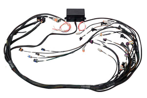 Haltech GM GEN IV LSX (LS2/LS3 Non DBW) Elite 2000/2500 Terminated Harness w/EV1 Inj Connectors