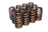 COMP Cams Valve Springs 1.240in Beehive