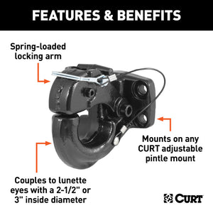 Curt Pintle Hook (60000lbs 2-1/2in or 3in Lunette Eyes)