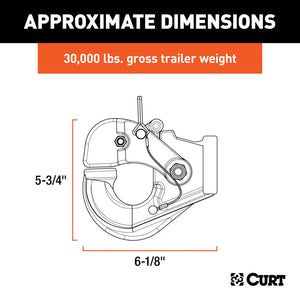 Curt Pintle Hook (30Klbs 2-1/2in or 3in Lunette Eyes)