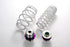 HKS NISSAN GTR R35 HM TOURING HEIGHT ADJUSTABLE SPRING KIT