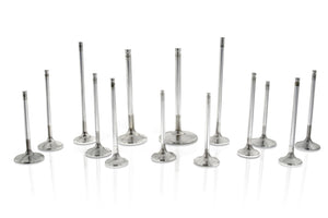 Ferrea VW VR6 41mm 6.98mm 106.15mm 12 Deg S-Flo +2mm Single Groove Comp Plus Intake Valve - Set of 6