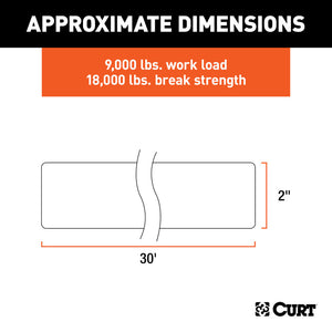 Curt 2in x 30ft Tow Strap (9000lbs GVW)