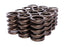 COMP Cams Valve Spring 1.450in Outer W/D