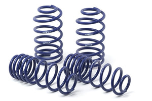 H&R 05-10 Chrysler 300 C LX Sport Spring (w/o Self-Leveling/Non AWD)