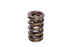 COMP Cams Valve Spring 1.400in 2 Spring