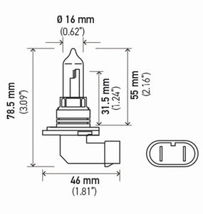 Hella Bulb 9005 12V 65W P20D T4 +50 (2)