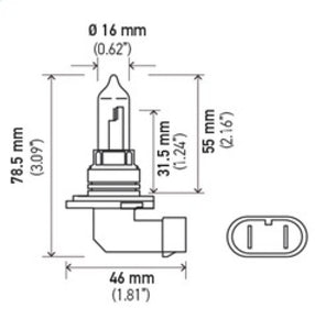 Hella Bulb 9005 12V 65W P20D T4 +50 (2)