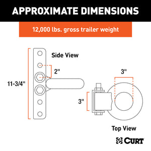 Curt Lunette Eye & Channel (12000lbs 3in Eye 11-3/4in Channel Height)