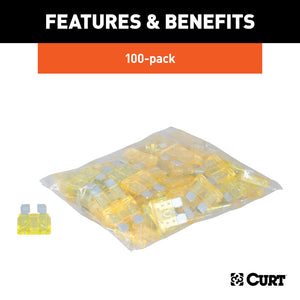 Curt 20-Amp Universal Fuses (100-Pack)