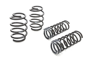 Eibach Pro-Kit for 11/1998-05 Jetta IV 6cyl (exc. Wagon)