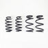 RS-R 19+ Tesla Model 3 AWD Down Sus Springs