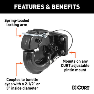 Curt Pintle Hook (10000lbs 2-1/2in or 3in Lunette Eyes)