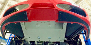 ProTEKt 04-09 Ferrari 430 Base Custom Fit Front Bumper Skid Plates