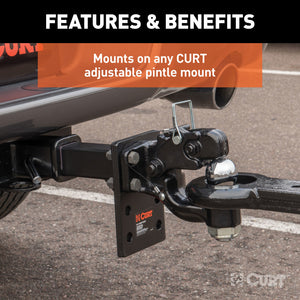 Curt Ball & Pintle Combination (2in Ball 10000lbs Ball Capacity)