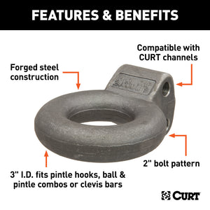 Curt Channel-Style Lunette Eye (24000lbs 3in I.D. Raw)