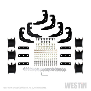 Westin 2019 Ram 1500 Crew Cab (Excl. 1500 Classic) PRO TRAXX 4 Oval Nerf Step Bars - SS