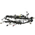 Ford Racing 5.0L Coyote Engine Harness for Automatic Transmission