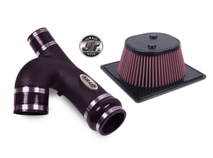 Airaid Jr. Intake Kit, Bifurcated Tube, Dry / Red Media 11-14 Ford F-150 3.5L Ecoboost