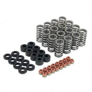 Skunk2 Honda L15B7 Ultra Valve Springs and Spring Base Kit