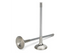 Supertech Nismo 350Z VQ35 Inconel Exhaust Valve - +1mm Oversize - Set of 12